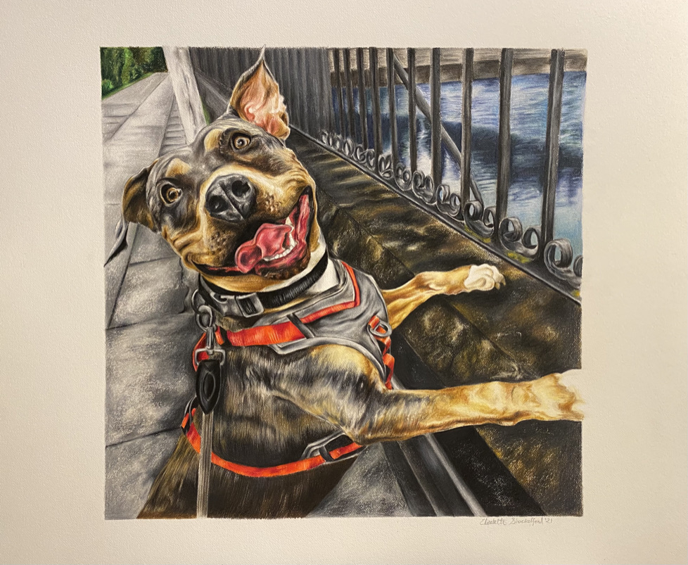 Happy pitbull by the water
          drawing