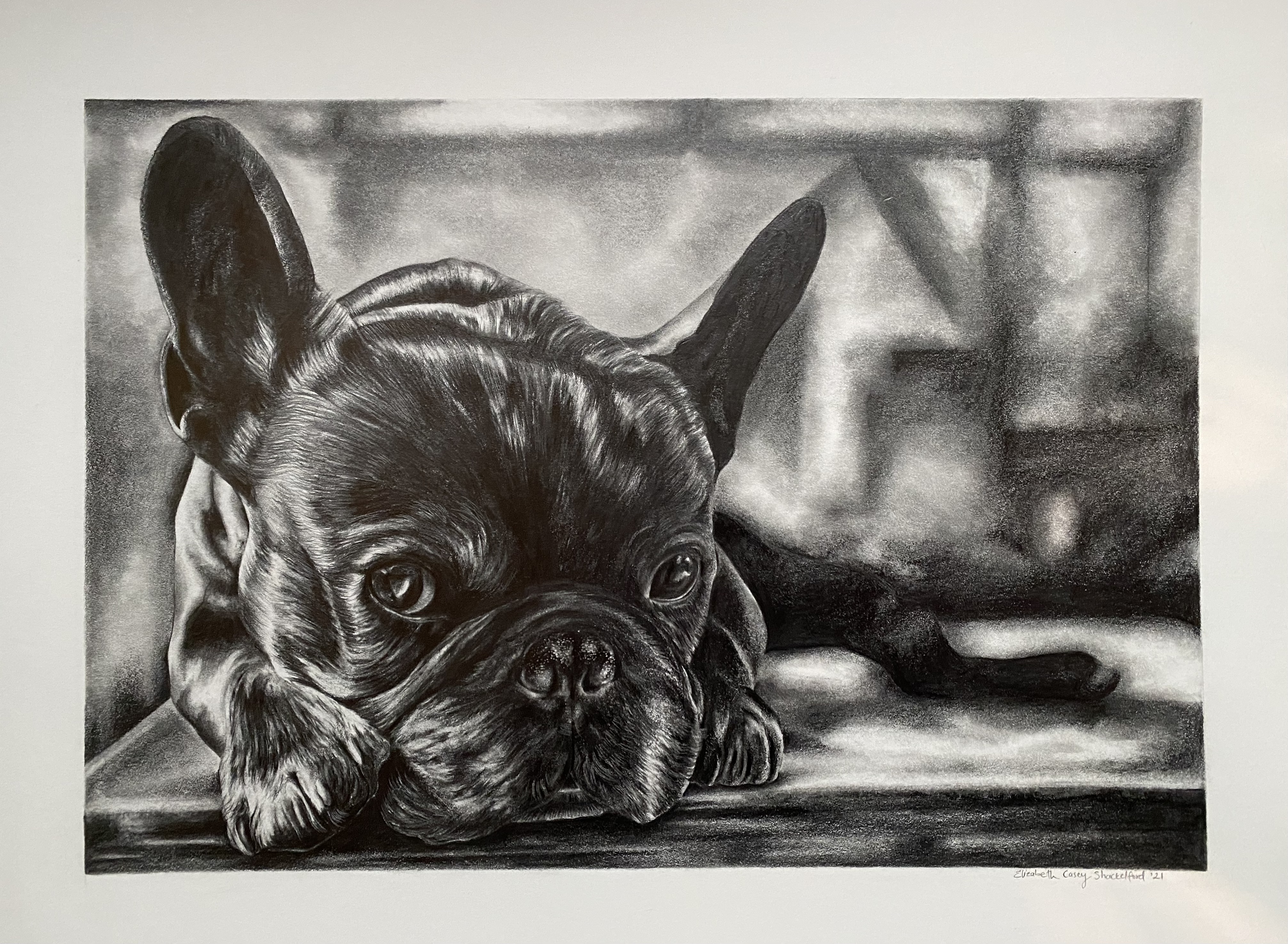 Frenchie relaxing for a nap drawing