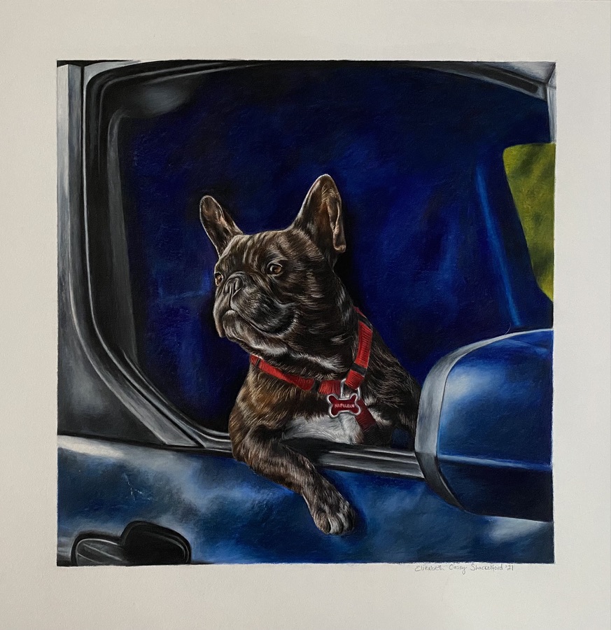 Frenchie looking out open truck window drawing